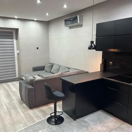 Appartement Raciborska Royal - Miejsce Parkingowe Na Parkingu Strzezonym Gliwice