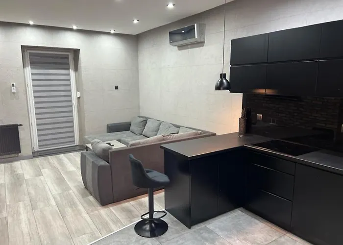 Lägenhet Raciborska Royal - Miejsce Parkingowe Na Parkingu Strzezonym Gliwice